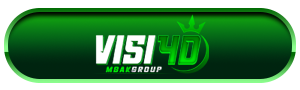 LOGO VISI4D